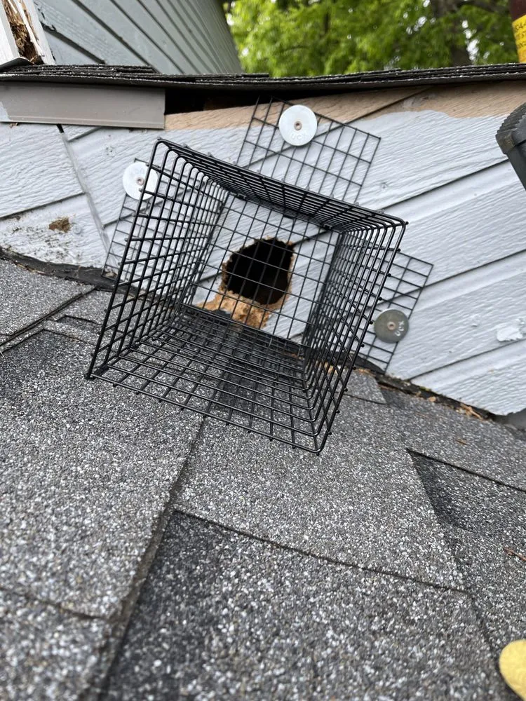 Top-rated garden landscaping experts serving Fort Gibson, OK - Okie Critter Getter