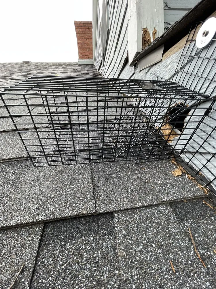 Trusted landscape design in Fort Gibson, OK by Okie Critter Getter