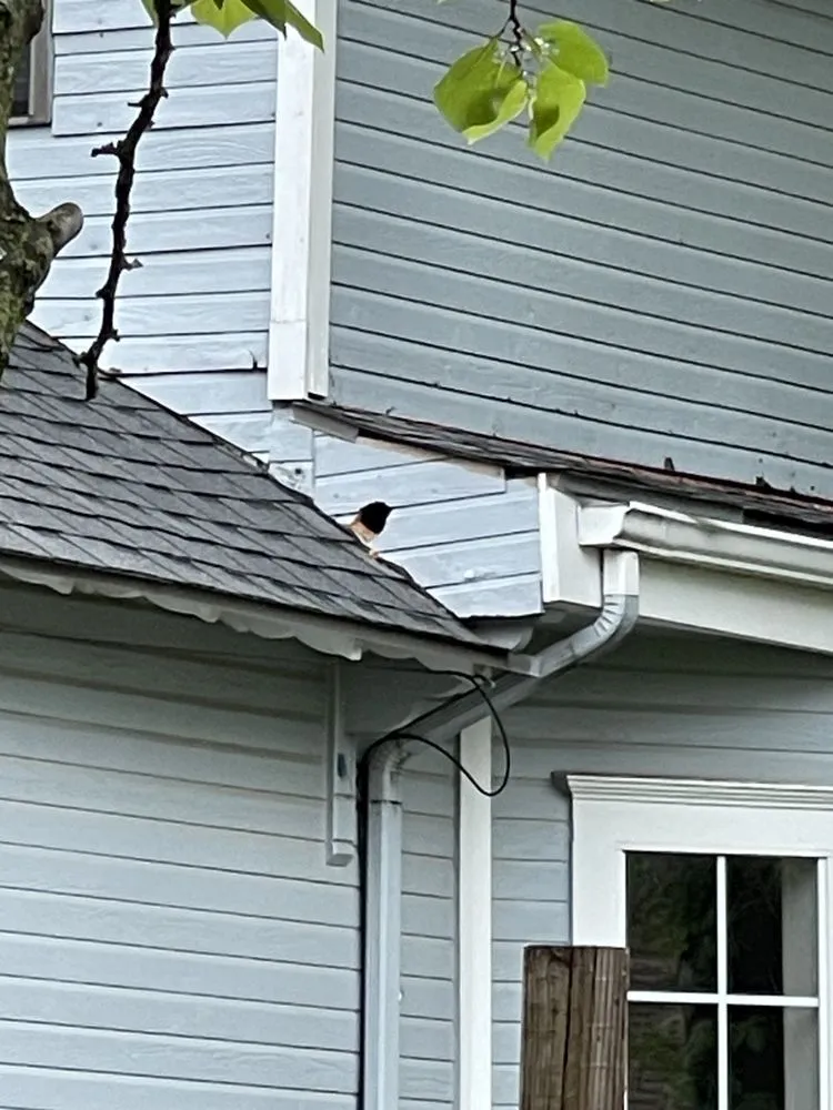 Affordable lawn care service experts serving Fort Gibson, OK - Okie Critter Getter