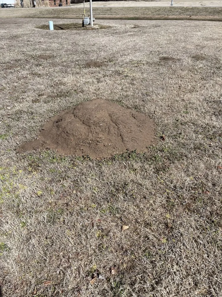 Trusted yard maintenance near you in Fort Gibson, OK by Okie Critter Getter