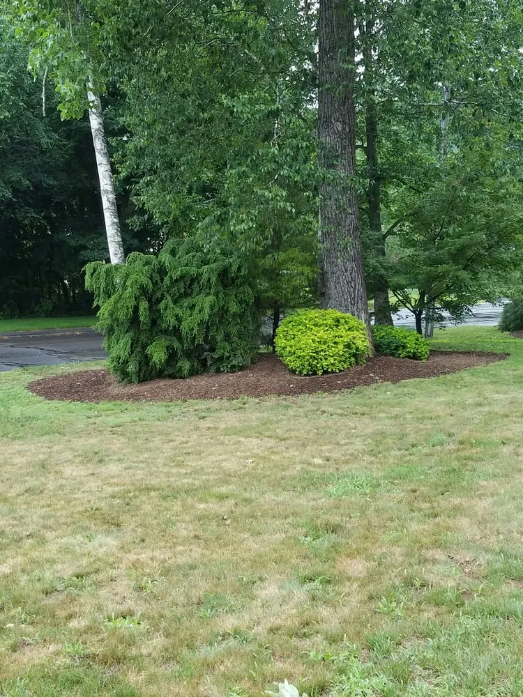 Expert landscaping services experts serving West Hartford, CT - Okie's Landscaping