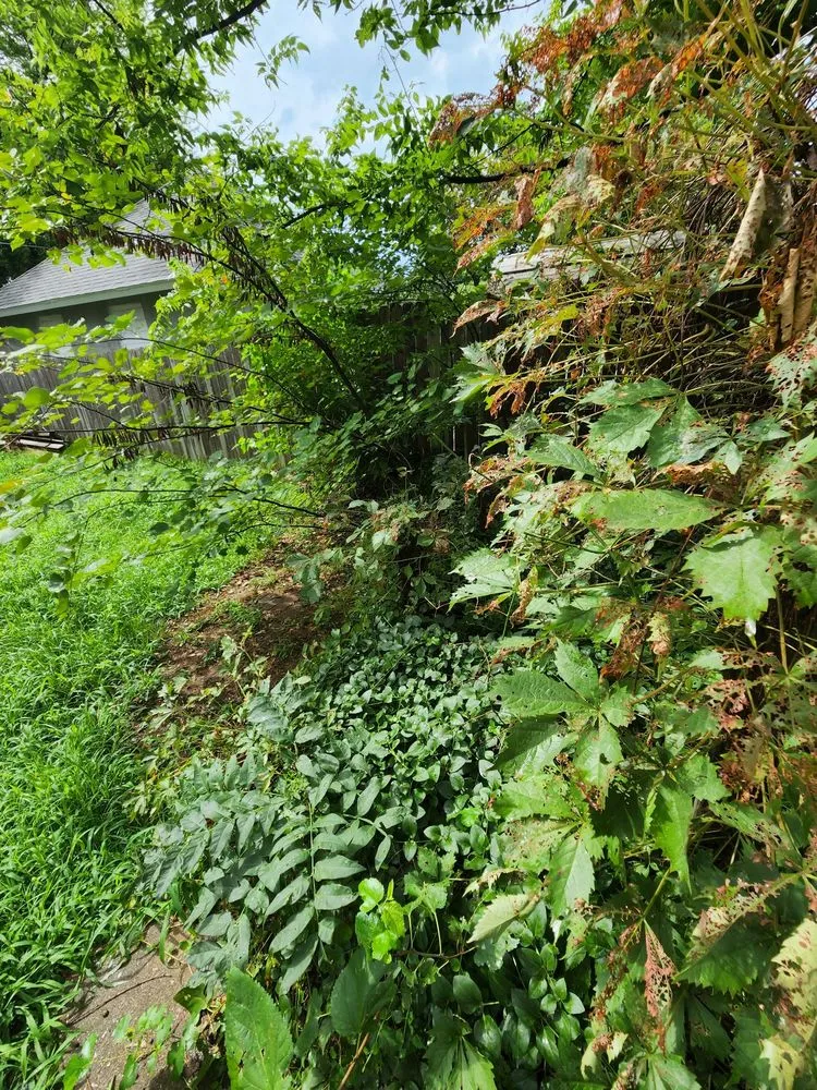 Custom lawn mowing service in Muskogee, OK - Okie's Lawn & Fence