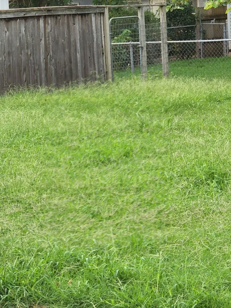 Affordable yard maintenance in Muskogee, OK by Okie's Lawn & Fence