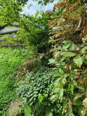 Okie's Lawn & Fence Logo