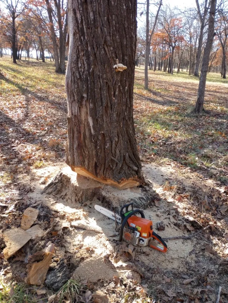 Top-rated landscape design in Jones, OK - Okla-Scapes Landscaping