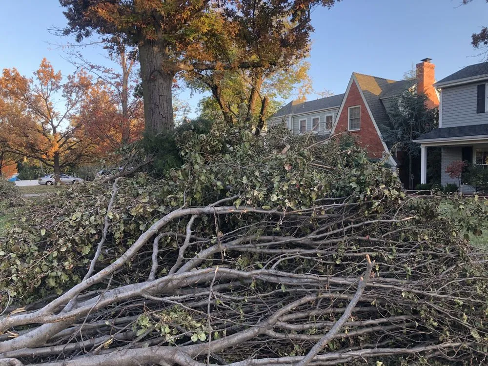 Trusted residential landscaping experts serving Edmond, OK - Oklahoma Precision Lawn and Landscape