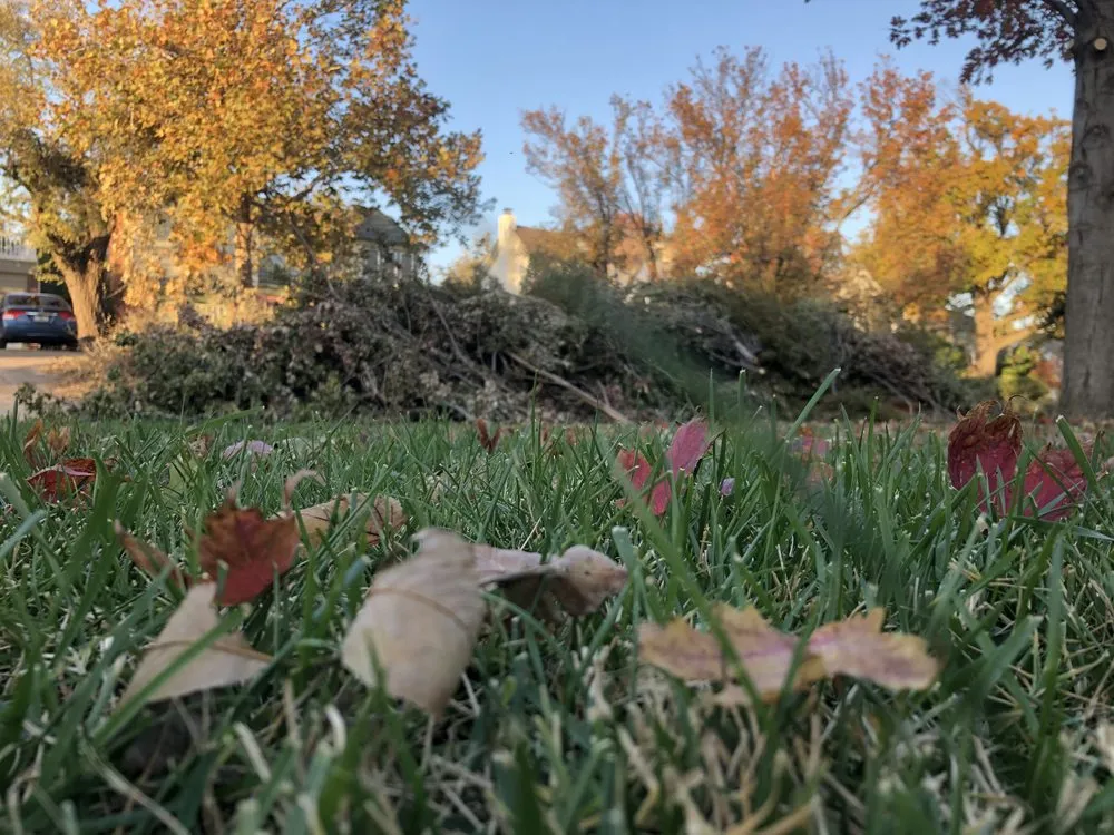 Reliable garden landscaping experts serving Edmond, OK - Oklahoma Precision Lawn and Landscape