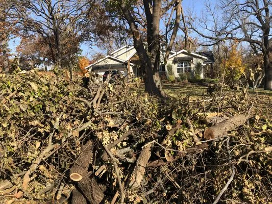 Oklahoma Precision Lawn and Landscape Logo