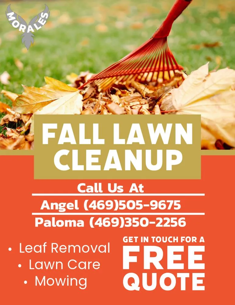 Affordable landscaping services near you across Duncanville, TX - Okto