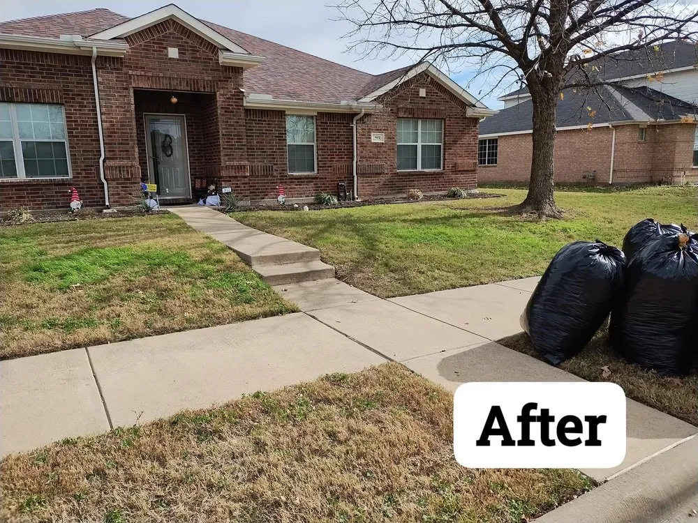 Reliable residential landscaping in Duncanville, TX by Okto