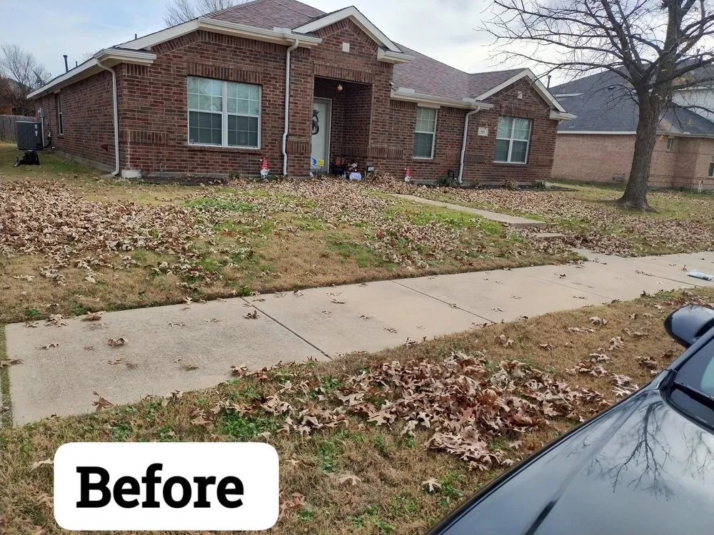 Local landscaping services in Duncanville, TX by Okto