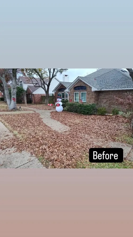 Trusted lawn care service in Duncanville, TX - Okto