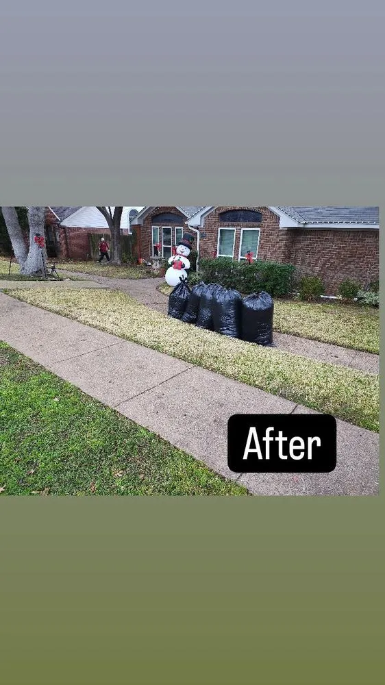 Reliable landscape installation in Duncanville, TX - Okto