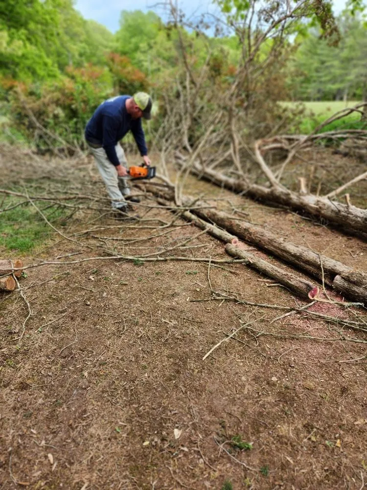 Reliable lawn mowing service experts serving Orange, VA - Ol Grit Tree & Landscaping