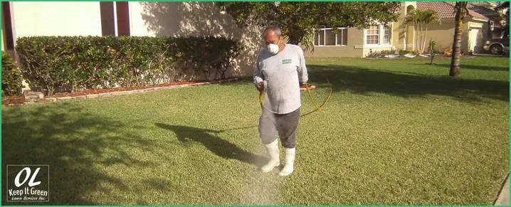 Professional landscape design experts serving Fort Lauderdale, FL - OL Keep It Green Lawn Care Services