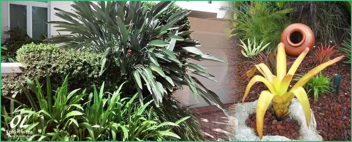 Expert residential landscaping for residential properties across Fort Lauderdale, FL - OL Keep It Green Lawn Care Services