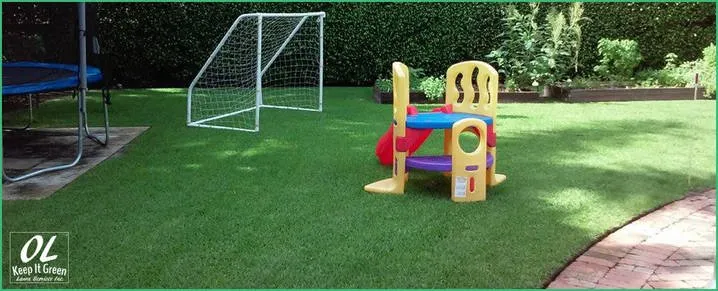 Affordable yard cleanup service in Fort Lauderdale, FL by OL Keep It Green Lawn Care Services