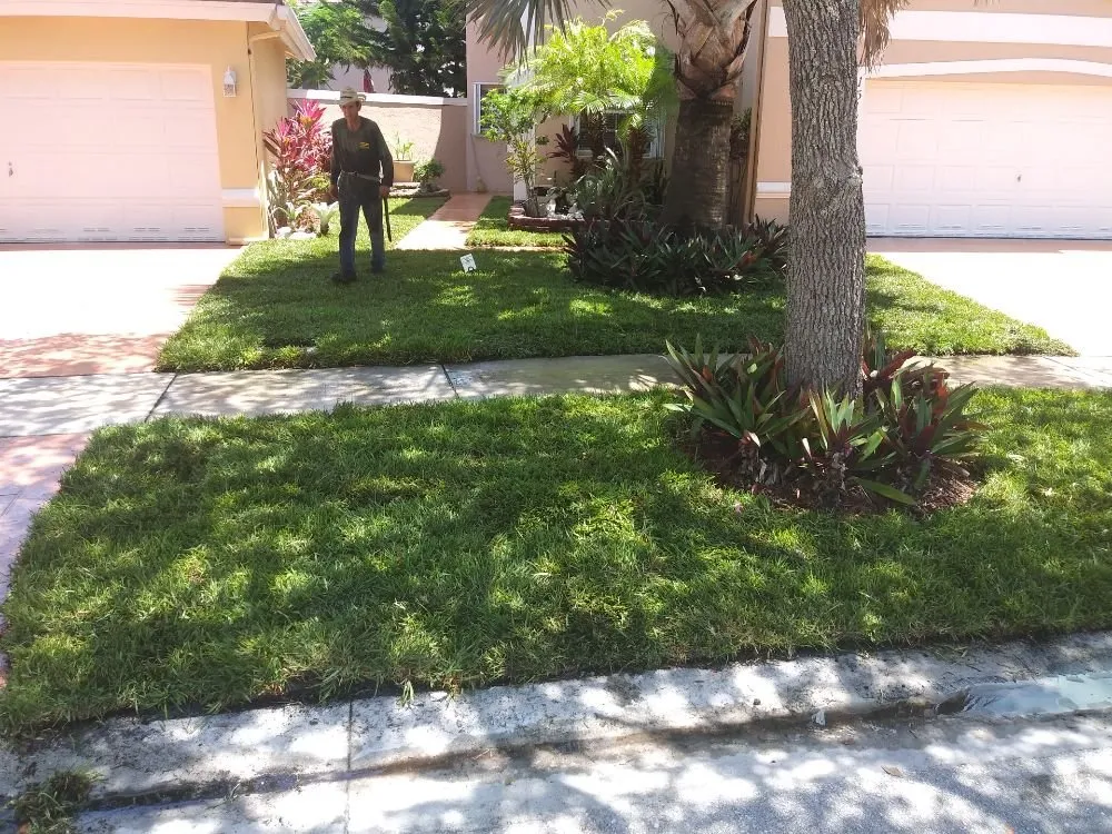 Professional yard cleanup service in Fort Lauderdale, FL - OL Keep It Green Lawn Care Services