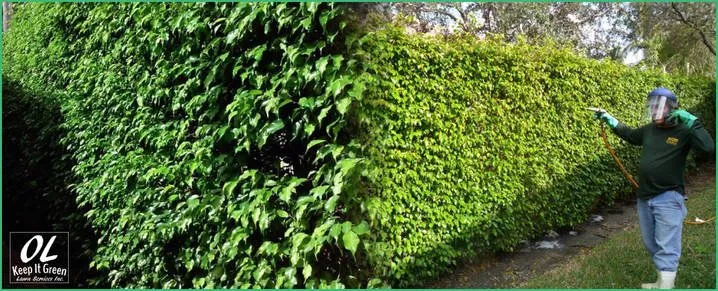 Top-rated garden landscaping experts serving Fort Lauderdale, FL - OL Keep It Green Lawn Care Services