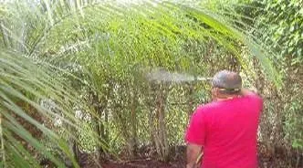 Trusted landscape installation for homes in Fort Lauderdale, FL by OL Keep It Green Lawn Care Services