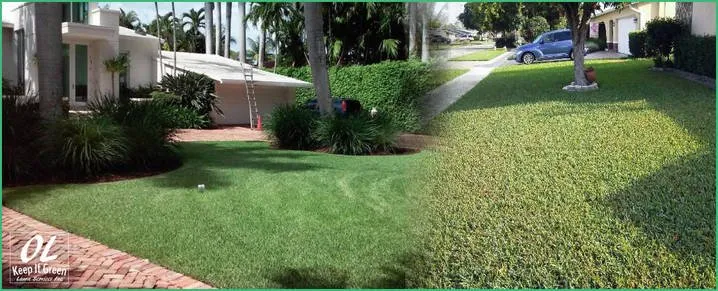 Expert landscape installation near you in Fort Lauderdale, FL by OL Keep It Green Lawn Care Services