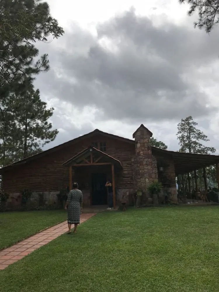 Custom yard maintenance in Fort Lauderdale, FL by OL Keep It Green Lawn Care Services