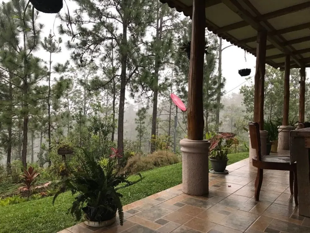 Top-rated yard maintenance with custom design in Fort Lauderdale, FL by OL Keep It Green Lawn Care Services