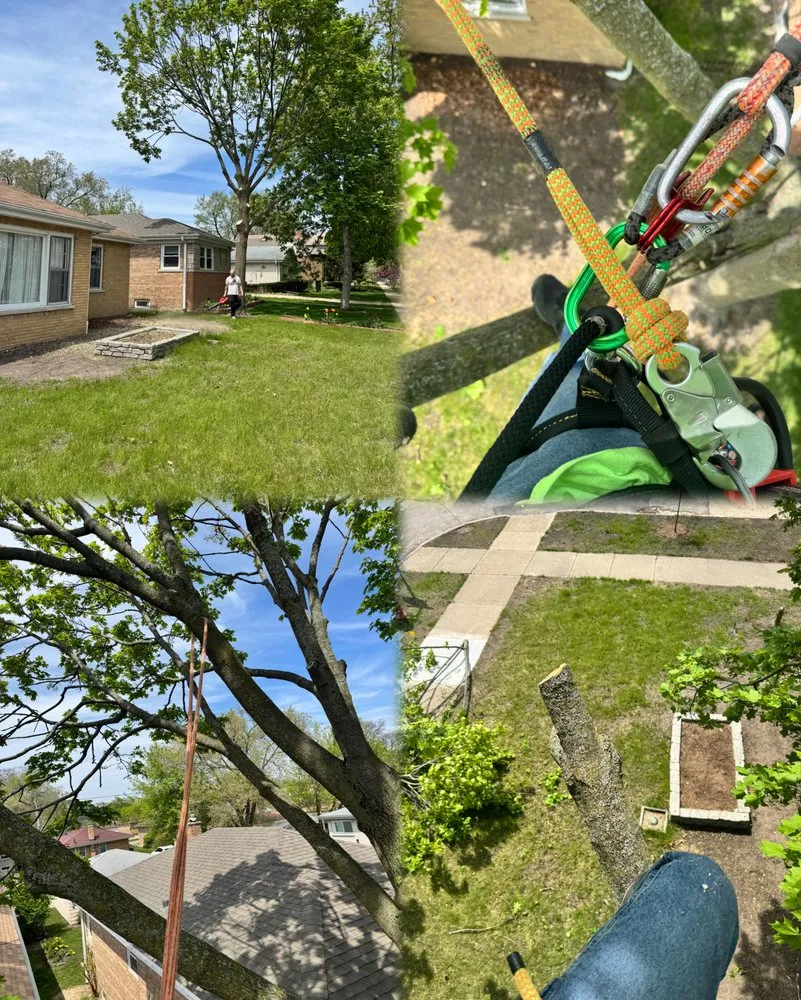 Top-rated lawn care service in Grayslake, IL by Ol’ Red Landscaping