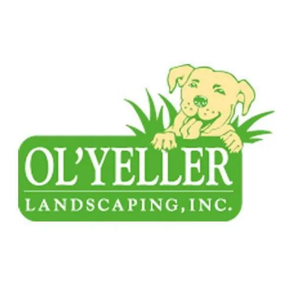Top-rated landscaping services with custom design in Kyle, TX by Ol' Yeller Landscaping