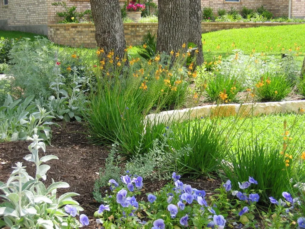 Custom yard maintenance experts serving Kyle, TX - Ol' Yeller Landscaping