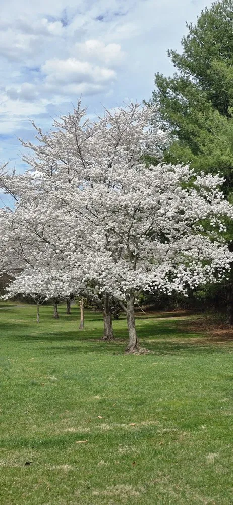 Affordable yard cleanup service with custom design across Montgomery Village, MD - Olam J&K Multi Services