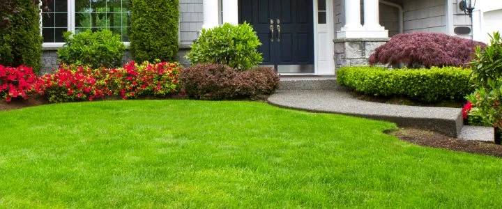 Reliable lawn mowing service for year-round maintenance in Lodi, CA by Olayo Landscaping