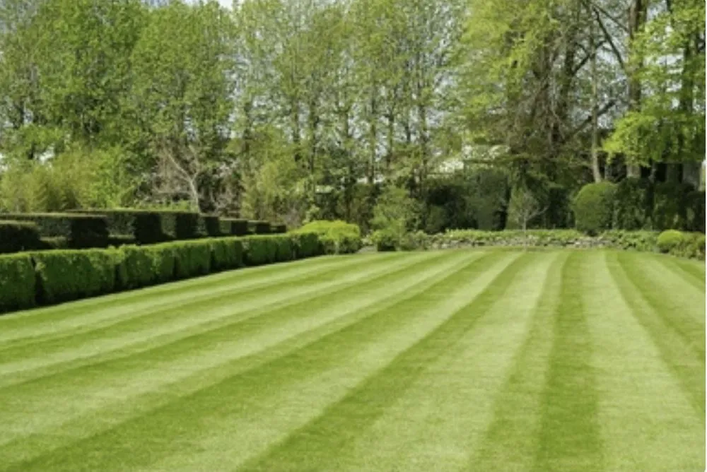 Trusted lawn care service for homes in St. Peters, MO by OLC Lawn Care
