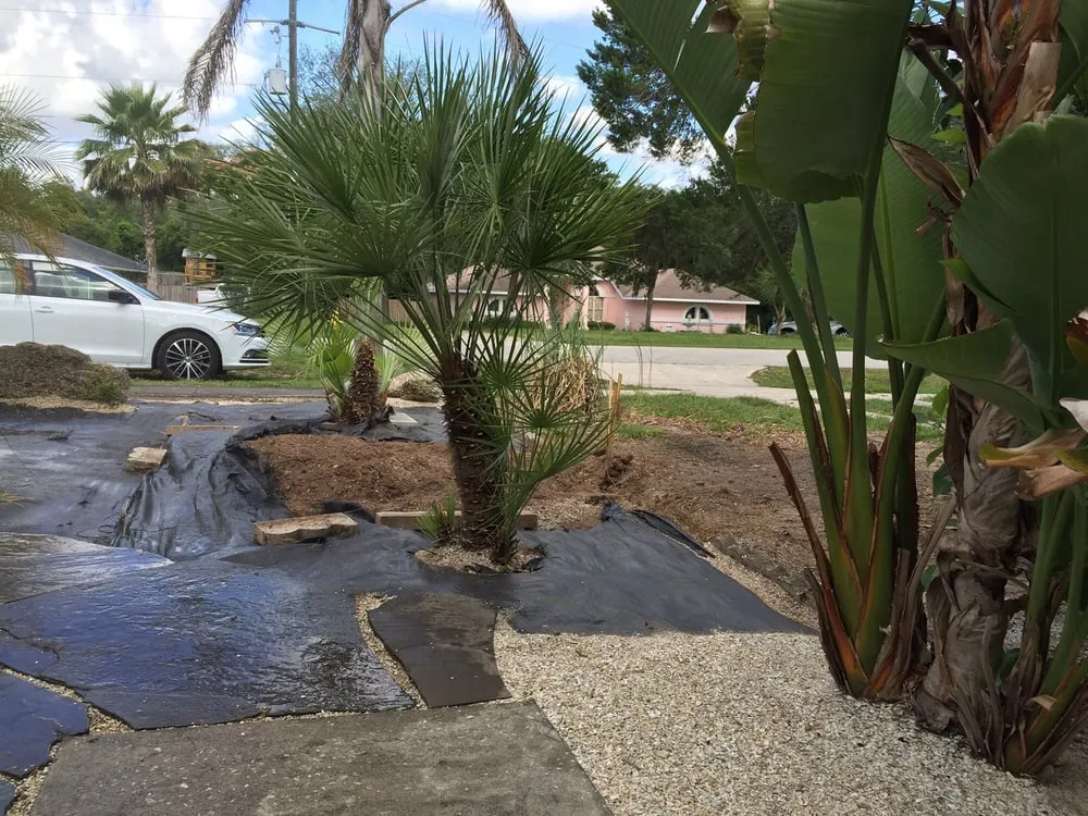 Reliable landscape installation near you in Saint Augustine, FL by Old City Tree