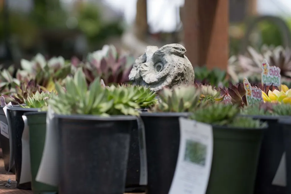 Custom landscape design in Wilmington, DE - Old Country Gardens