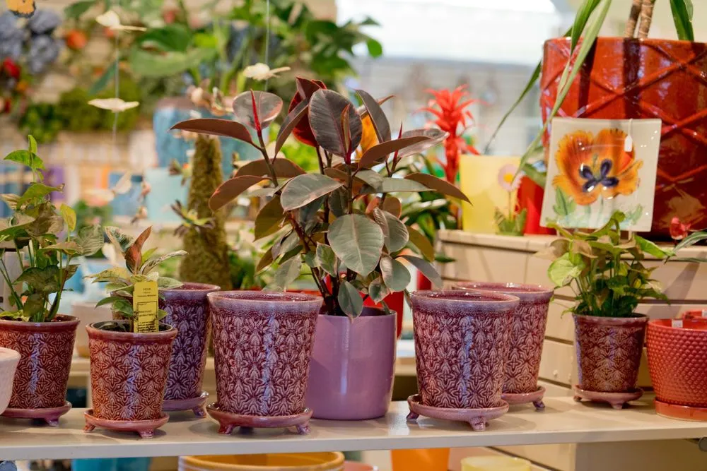 Affordable residential landscaping in Wilmington, DE by Old Country Gardens