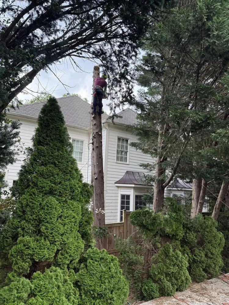 Top-rated landscape installation in Dale City, VA - Old Dominion Greenscape