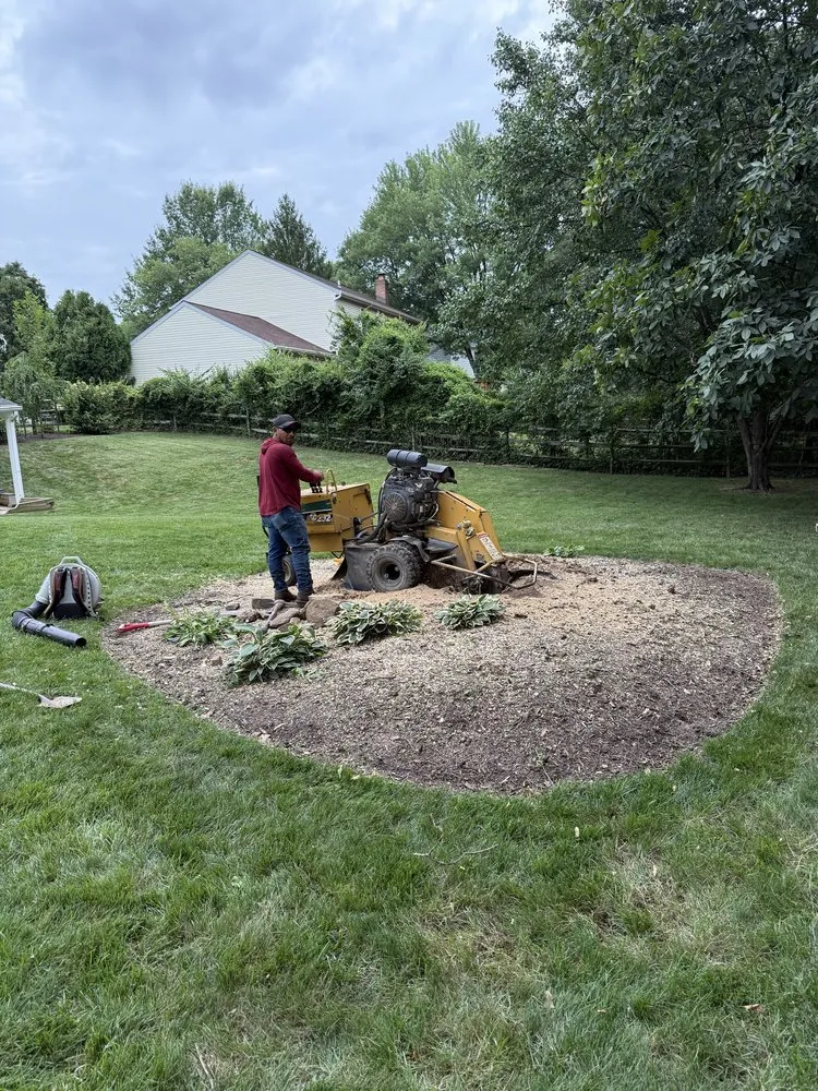 Trusted lawn mowing service experts serving Dale City, VA - Old Dominion Greenscape