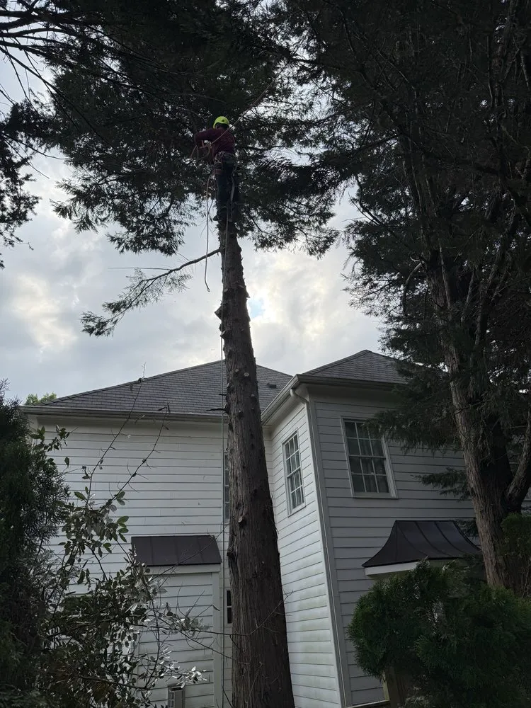 Expert garden landscaping experts serving Dale City, VA - Old Dominion Greenscape