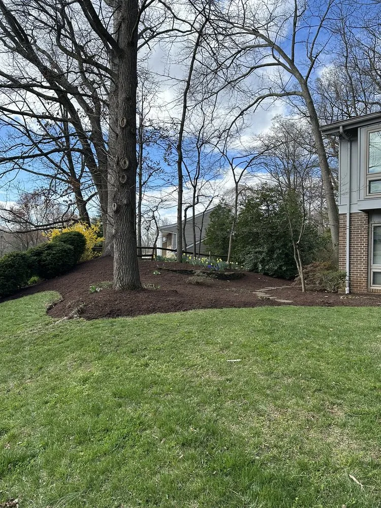 Affordable yard cleanup service in Dale City, VA - Old Dominion Greenscape