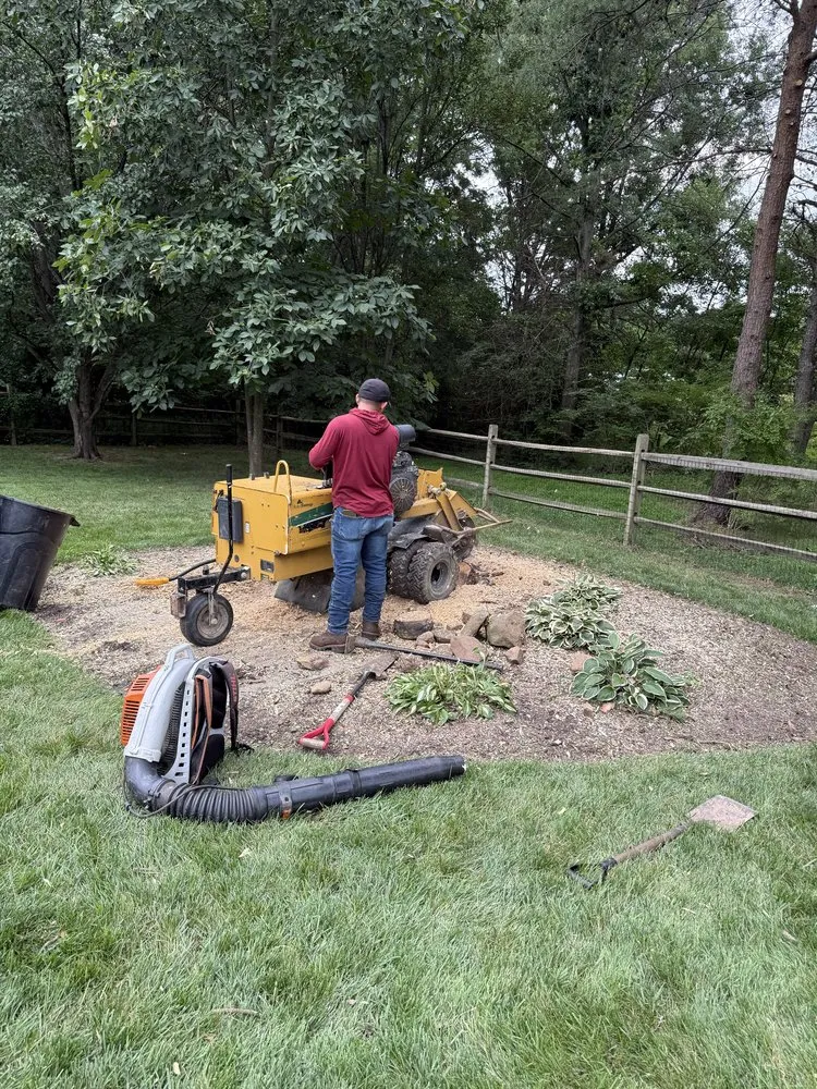 Expert residential landscaping in Dale City, VA - Old Dominion Greenscape