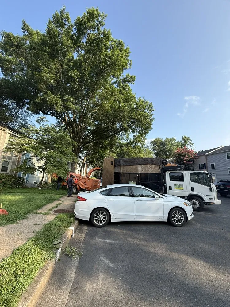 Reliable outdoor landscaping for beautiful yards across Dale City, VA - Old Dominion Greenscape