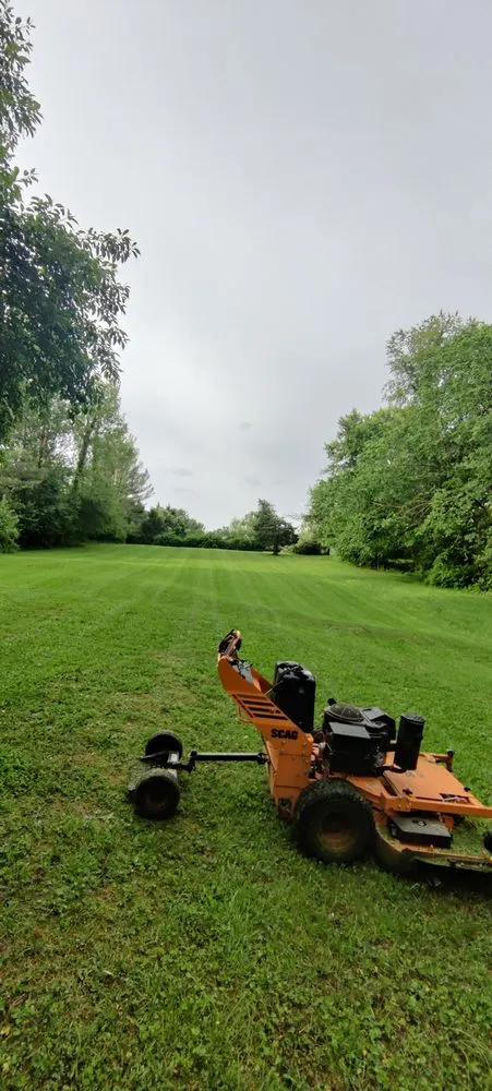 Local yard cleanup service in Dale City, VA by Old Dominion Greenscape