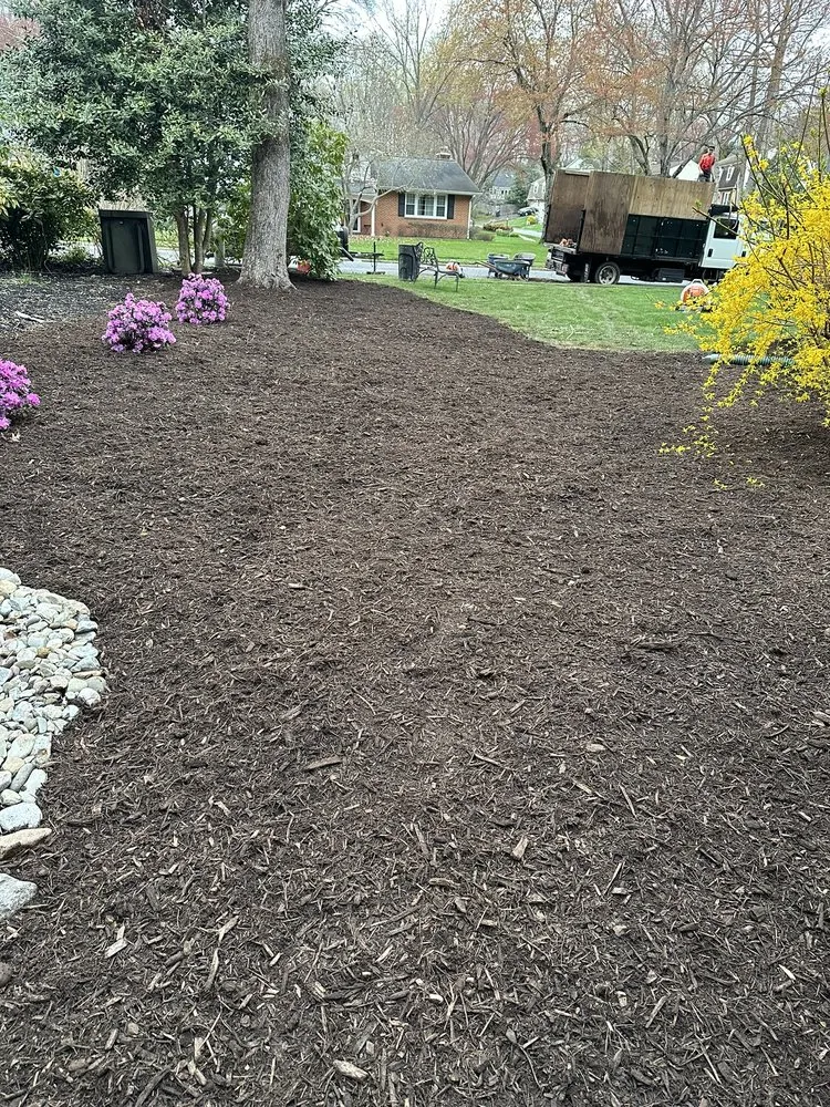 Top-rated residential landscaping in Dale City, VA by Old Dominion Greenscape