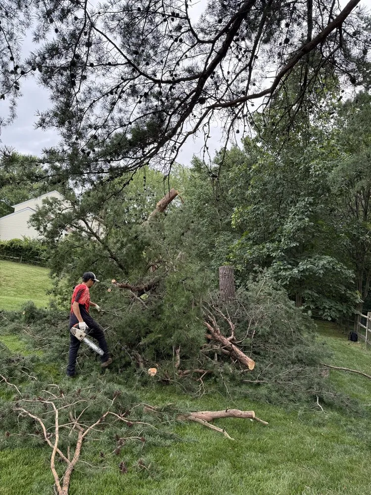 Reliable landscape installation near you across Dale City, VA - Old Dominion Greenscape