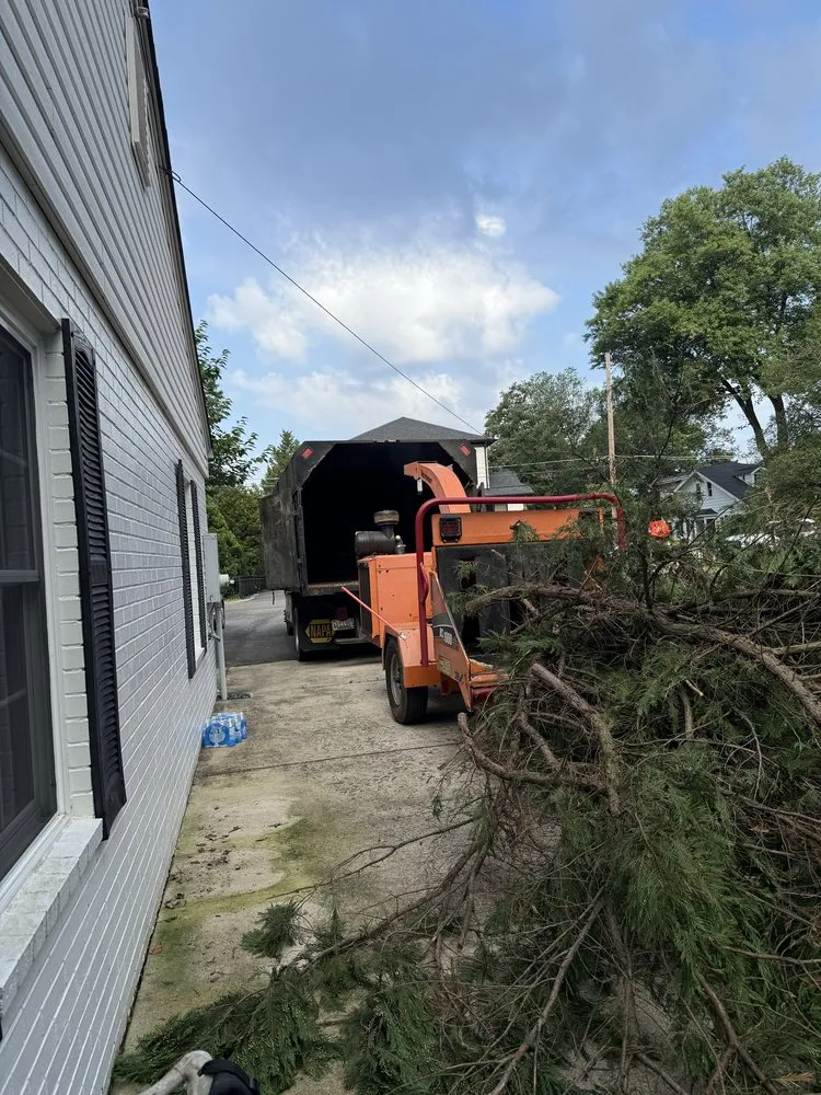 Expert outdoor landscaping in Dale City, VA by Old Dominion Greenscape