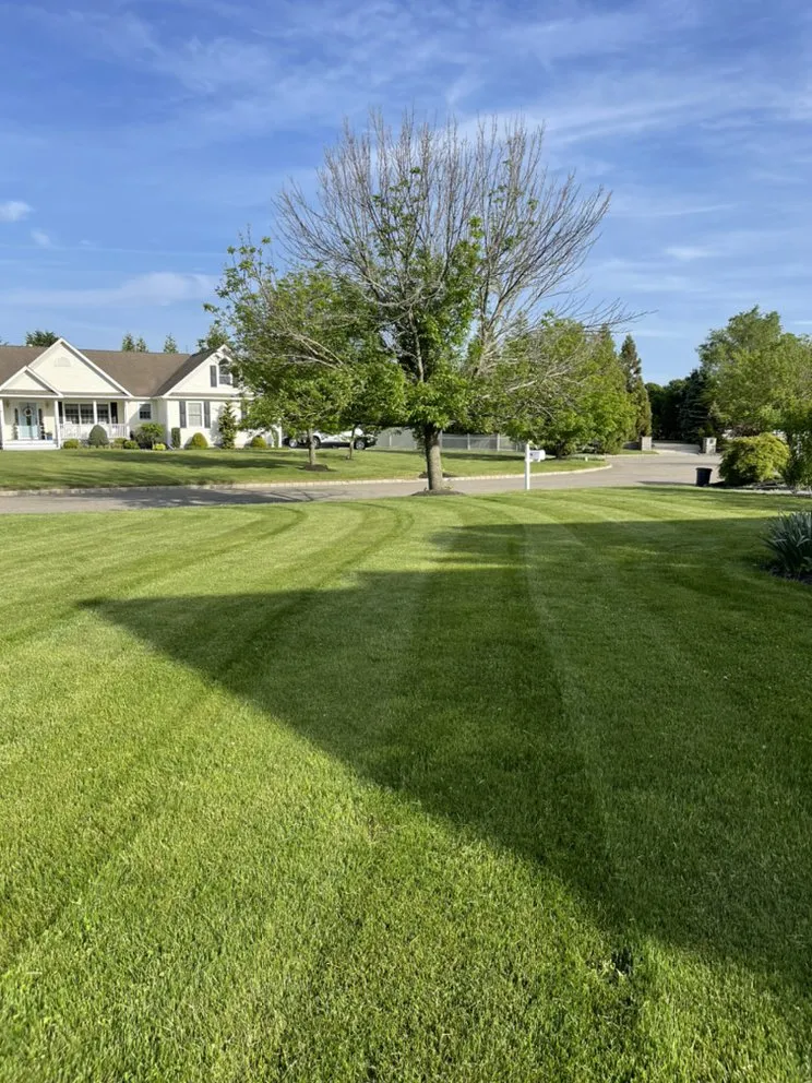 Affordable landscape installation in Riverhead, NY - Old farms Powerwashing