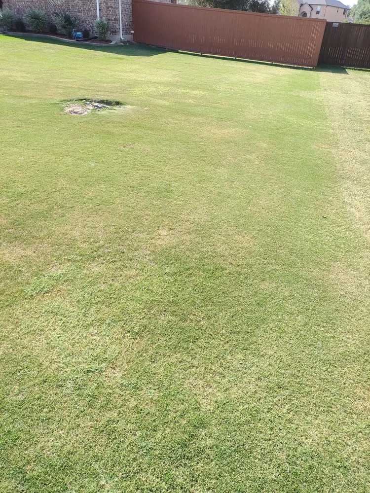 Custom landscape installation in Royse City, TX by Old Fashioned Lawn Care Smith