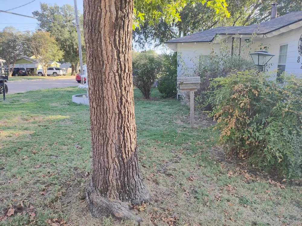 Expert landscape installation for beautiful yards in Royse City, TX by Old Fashioned Lawn Care Smith