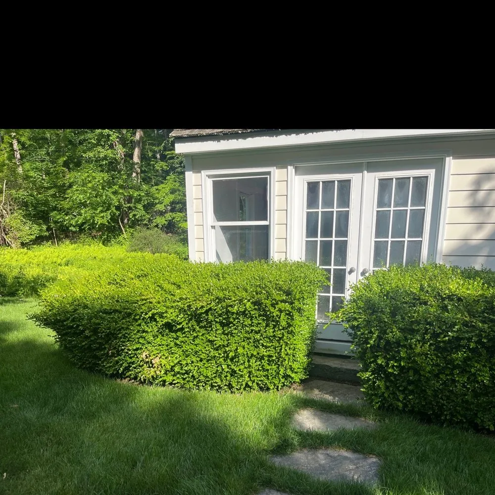 Affordable lawn care service in Bridgeport, CT by Old Glory Landscaping